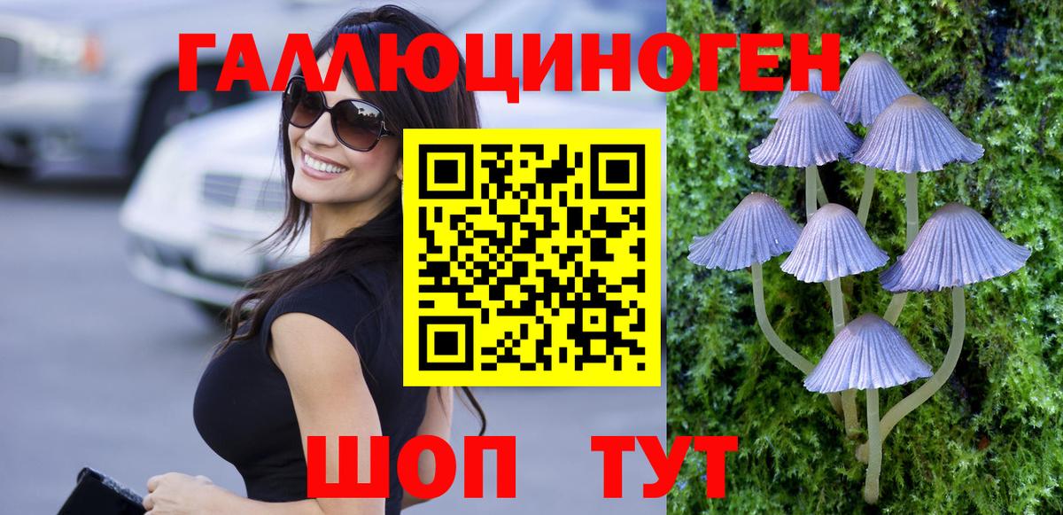 Галлюциногенные грибы MAGIC MUSHROOMS  Вход с VPN  Нижнекамск 